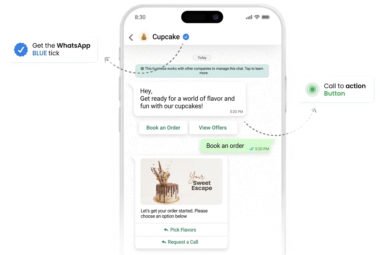 HillTeck WhatsApp Business API dashboard for D2C brand messaging at scale